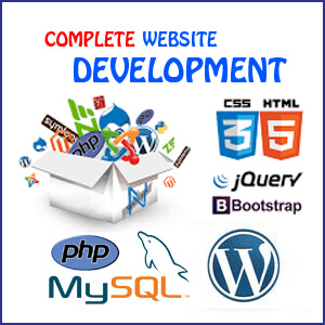 complete web development